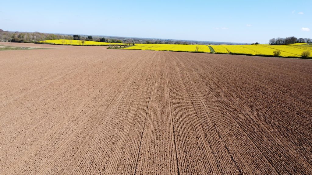 Additional image 4 of Farm for saleHaugham Pastures, Little Cawthorpe, Louth LN11