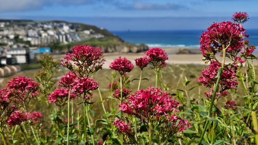 Additional image 12 of 3 bed detached house for saleRamoth Way, Perranporth, Cornwall TR6