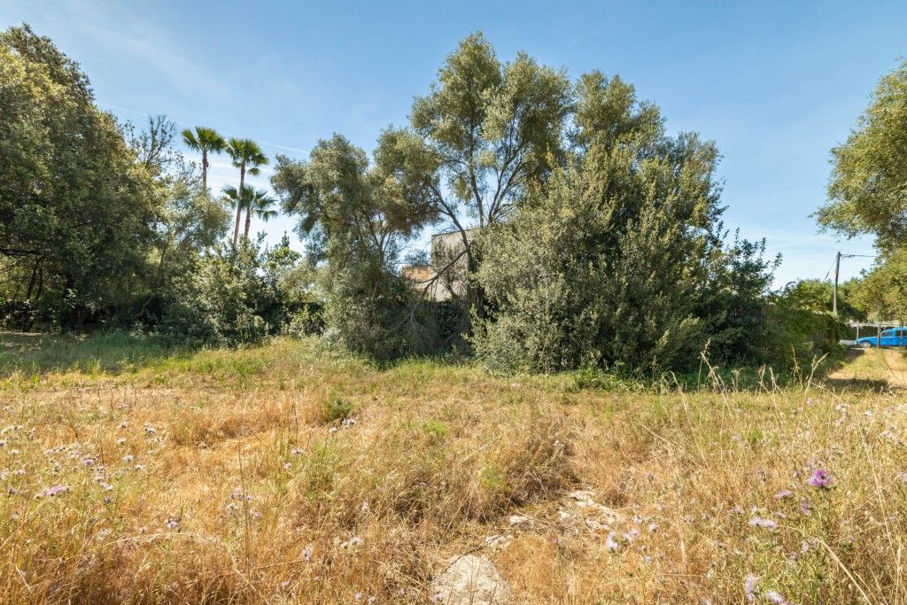Property photo 2 of 9 Plot (4)
