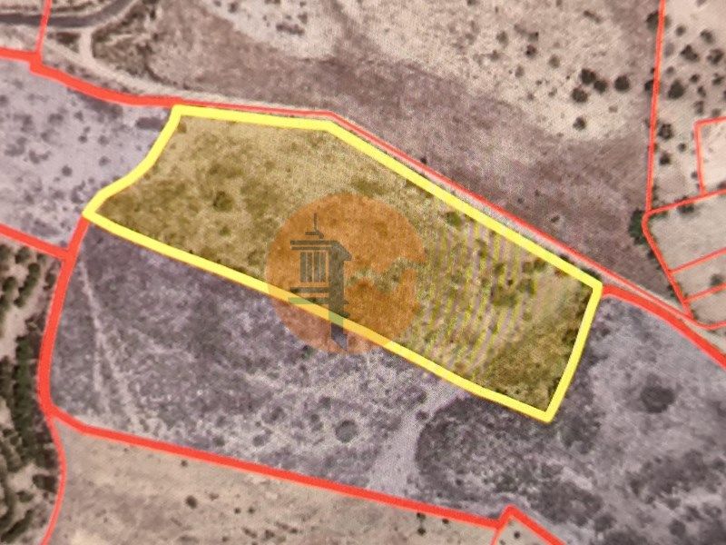 Property photo 2 of 53