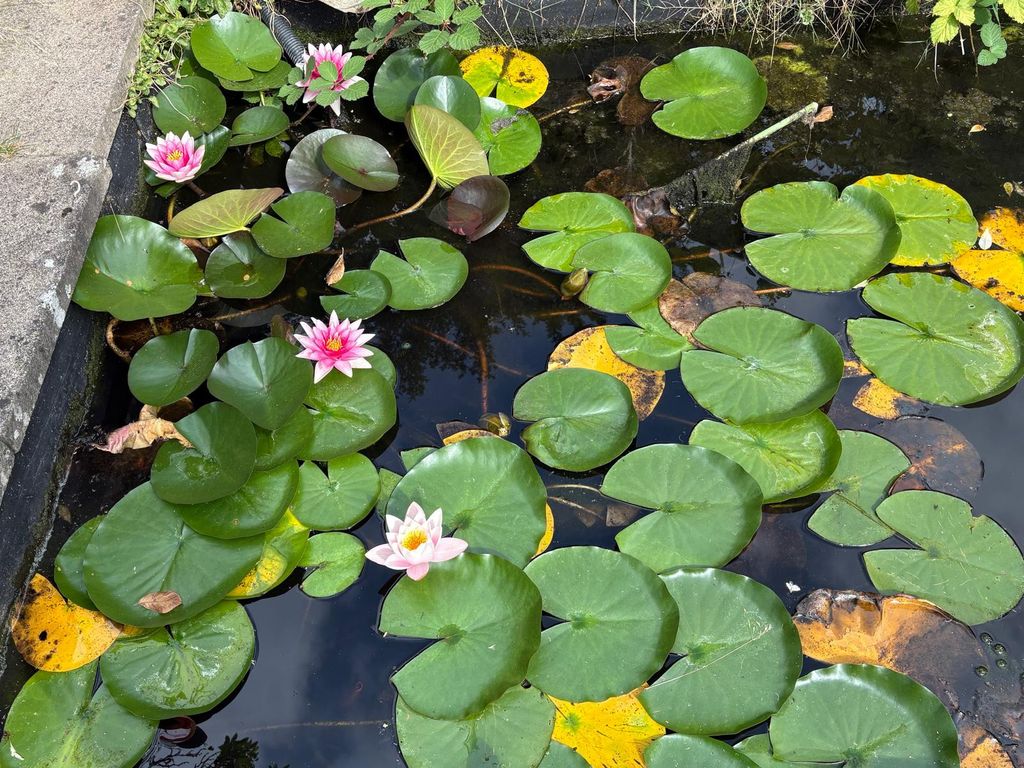 Property photo 3 of 21