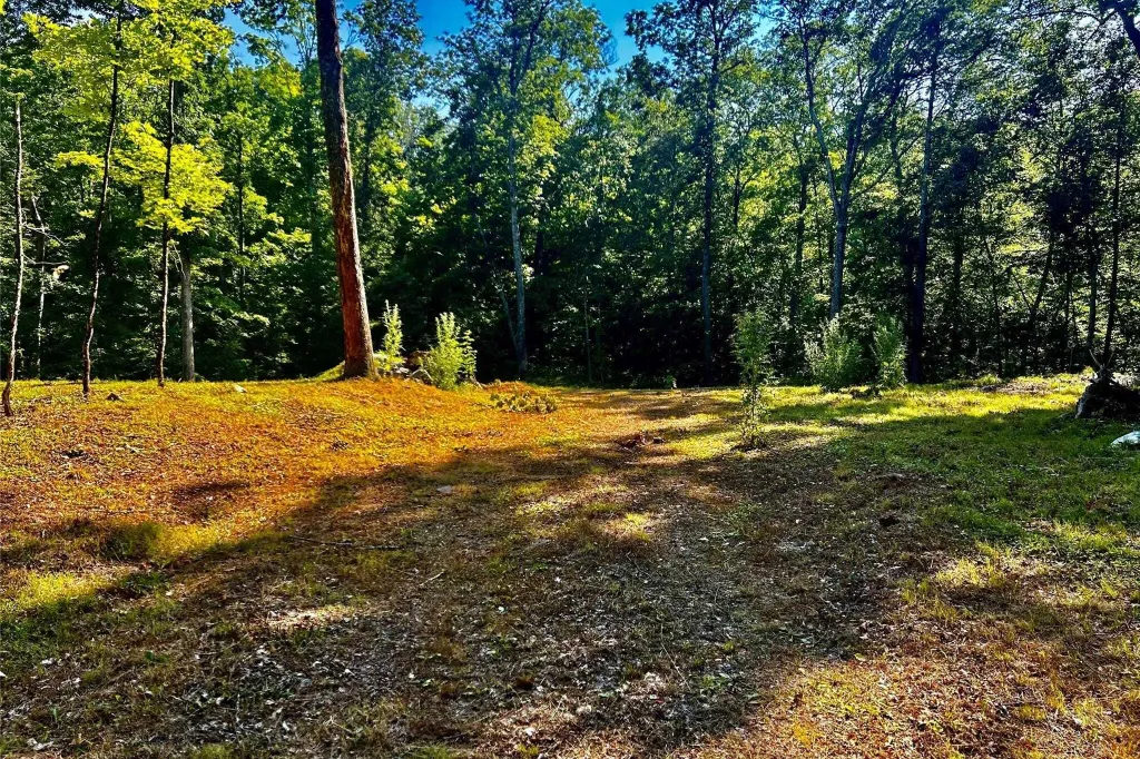 Property photo 1 of 25