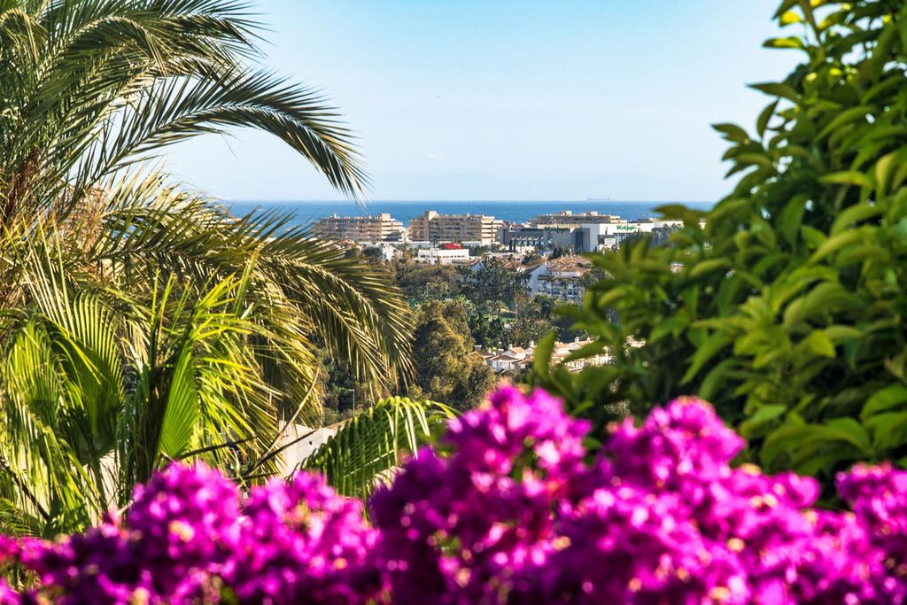 Property photo 3 of 50