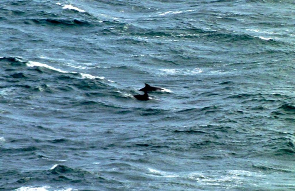 Additional image 16 of 2 bed flat for saleSecond Floor Apartment, Douglas Head Apartments, Douglas IM1