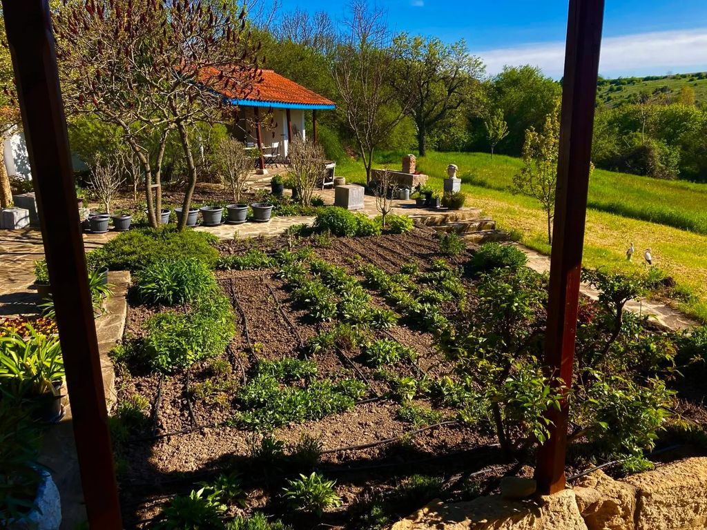 Property photo 3 of 64 Rows Of Plants Growing In A Vegetable Garden With Potted Plants Arranged On A Stone Patio Beside A White House With A Red Tiled Roof.