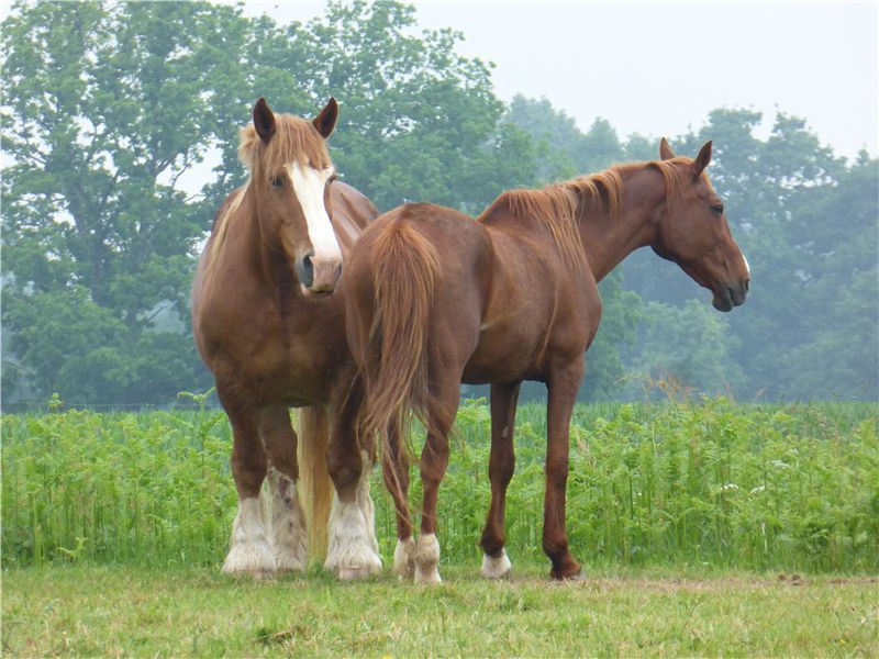 Property photo 2 of 49 Just A Few Minutes Away