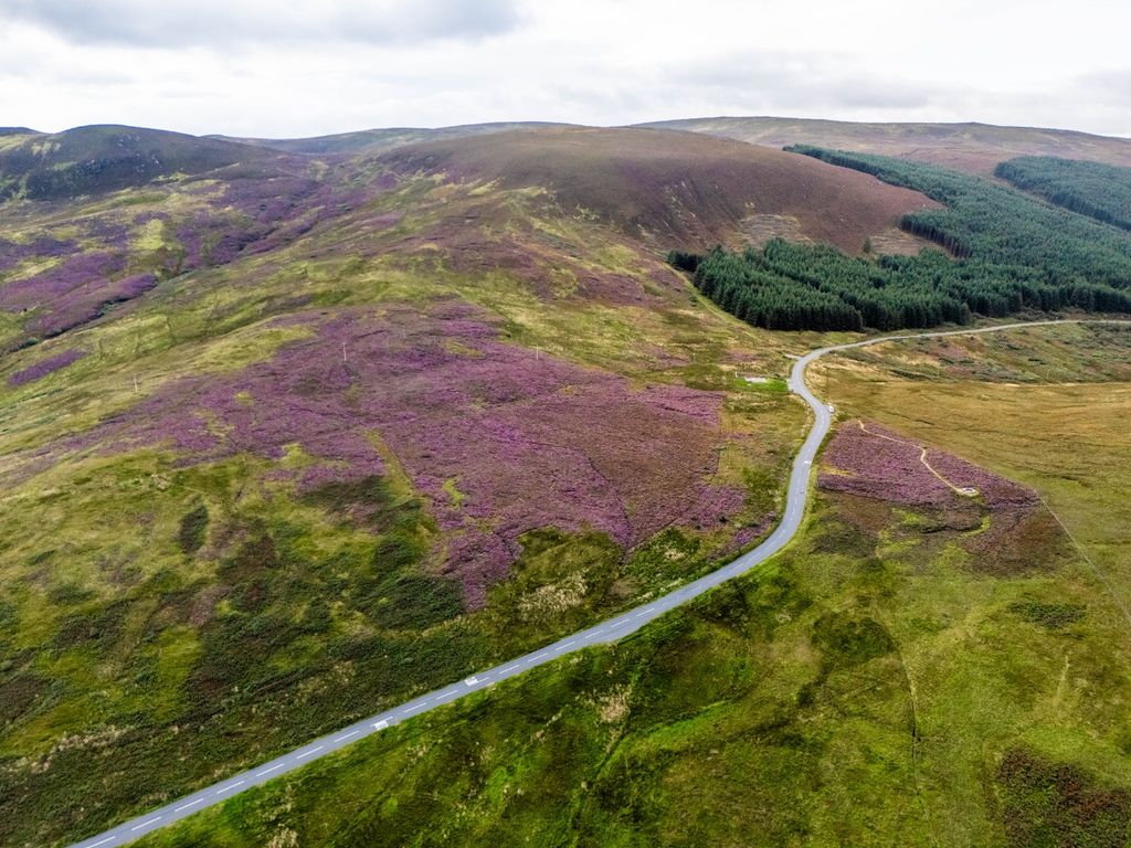 Property photo 3 of 29 4277913