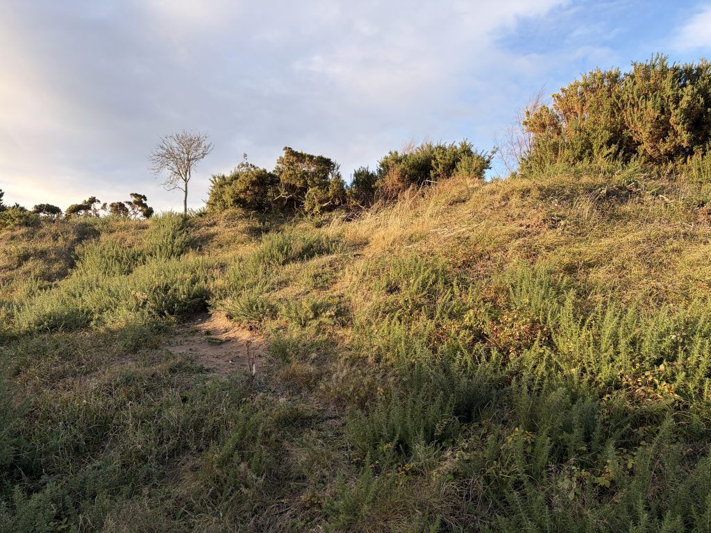 Property photo 3 of 7