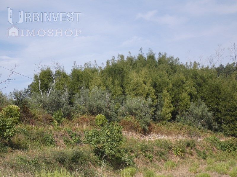 Property photo 2 of 4