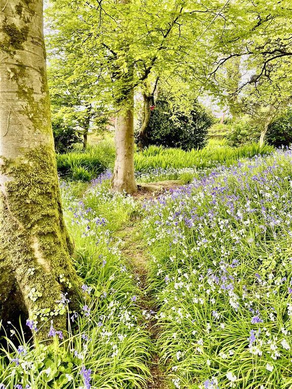 Property photo 2 of 18 Lower Garden.Jpg