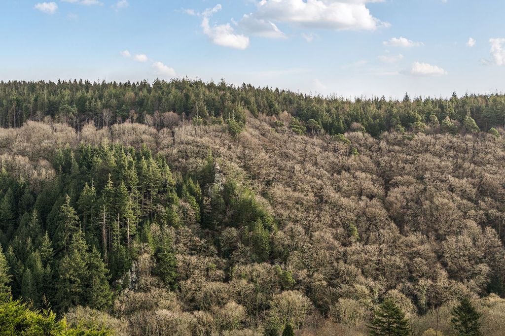 Property photo 3 of 6