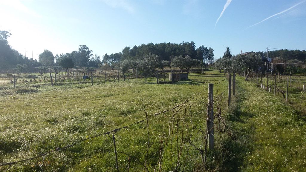Property photo 3 of 5