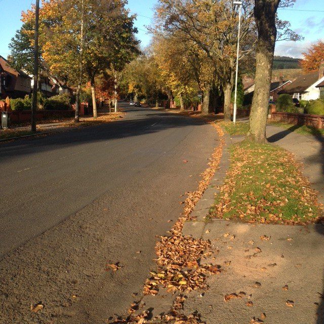 Property photo 3 of 26 Lp Street2