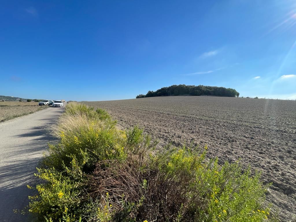 Property photo 1 of 3 Whatsapp Image 2023-10-11 At 12.39.22.Jpeg