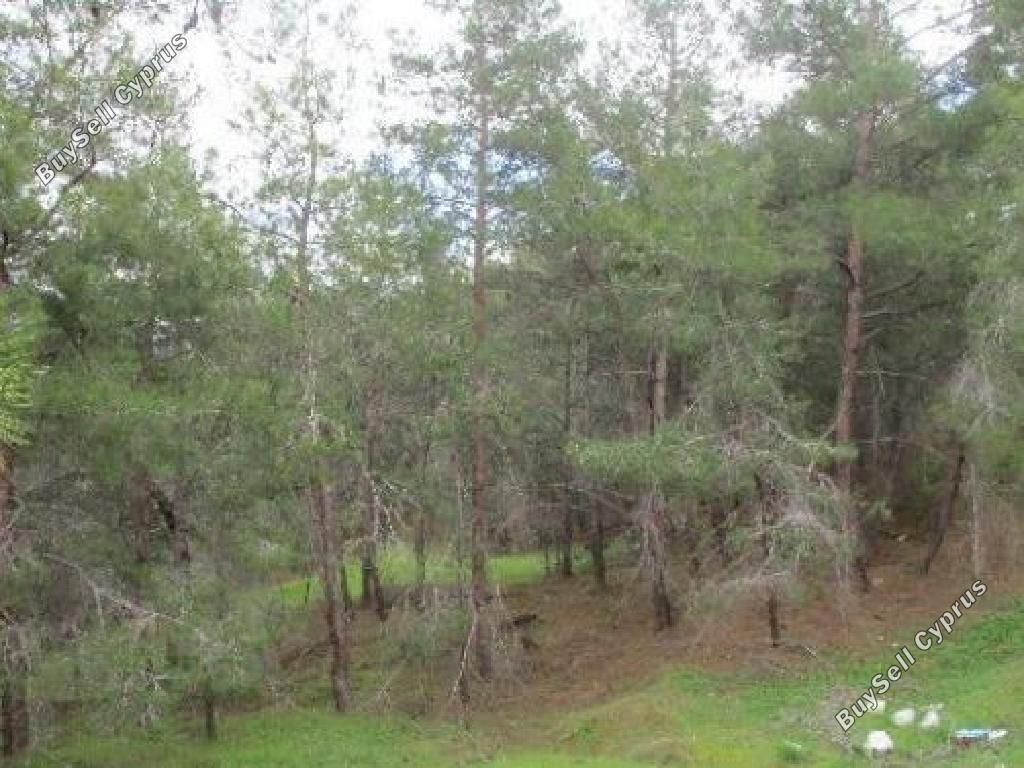 Property photo 3 of 6