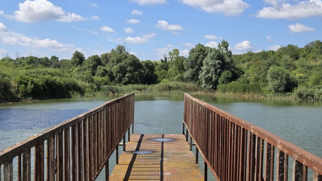 Property photo 1 of 59 Rusty Metal Pier Leading Out Over A Large Fishpond Bordered By Dense Greenery And Trees Under A Partly Cloudy Sky.