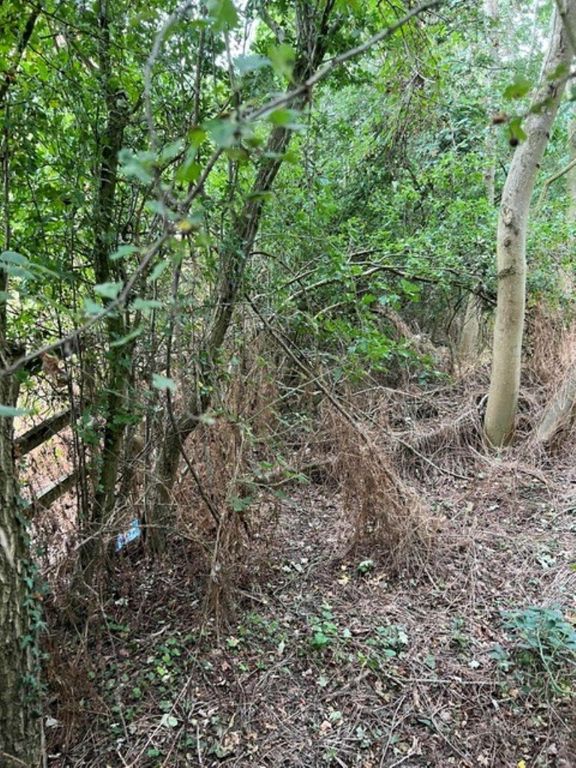 Property photo 3 of 6 Showing An Area Of The Thin Parcel Of Land In A Residential Area 1
