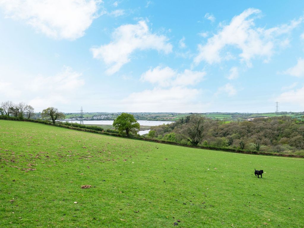 Additional image 11 of 4 bed farm for saleBere Ferrers, Yelverton PL20