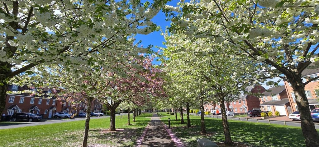 Property photo 2 of 19 d316296d-07E7-4629-Bd22-8Ad2B6036A66.Jpeg