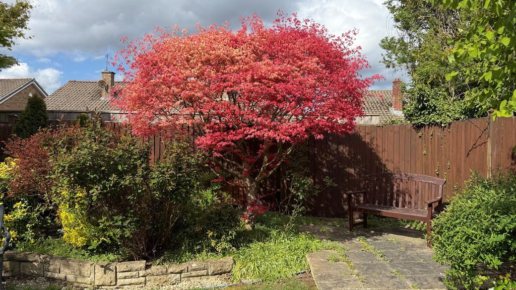 Property photo 2 of 15 Photo 2