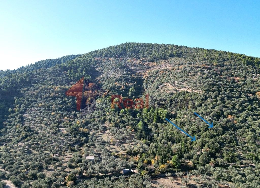 Property photo 3 of 22