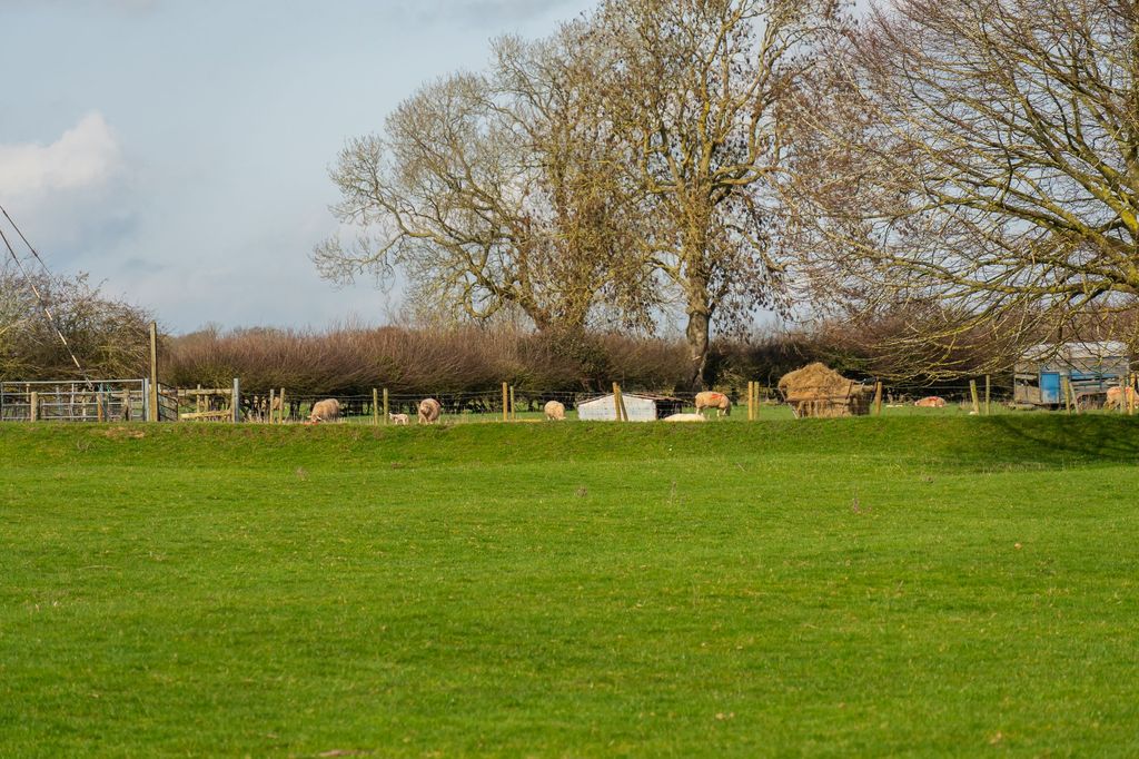 Property photo 3 of 34