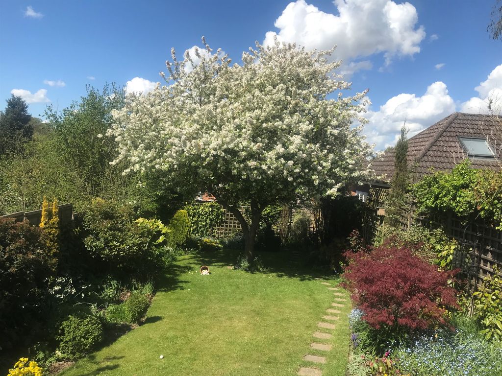 Property photo 2 of 19