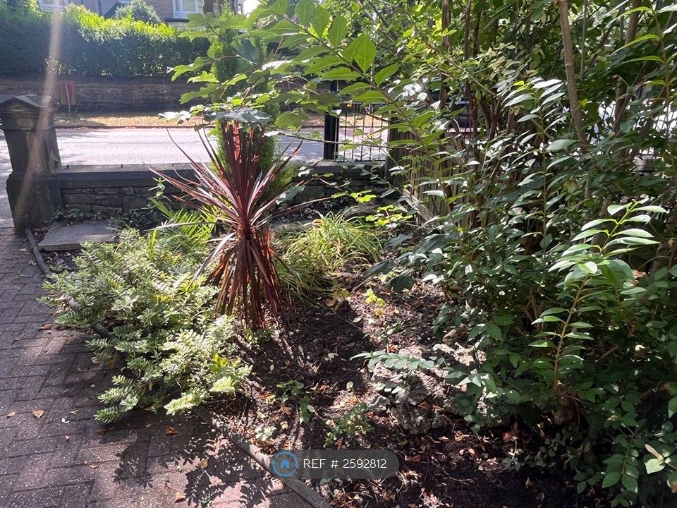 Property photo 3 of 20 Front Garden
