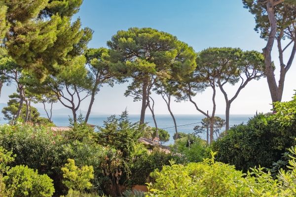 Property photo 1 of 3