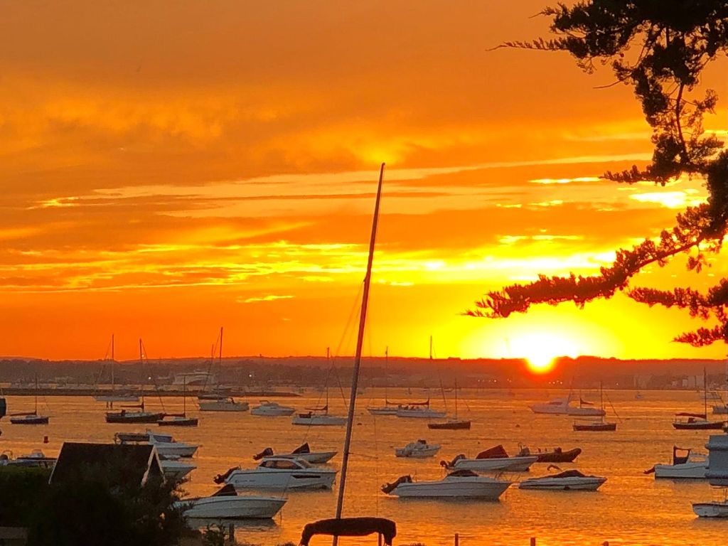 Property photo 1 of 24 Views