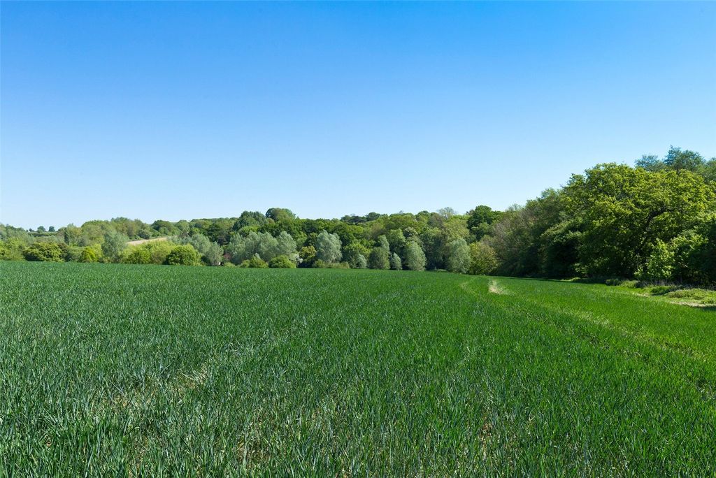 Property photo 3 of 8 Picture No. 36