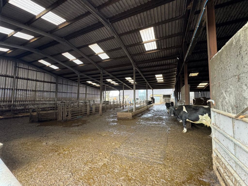 Property photo 3 of 43