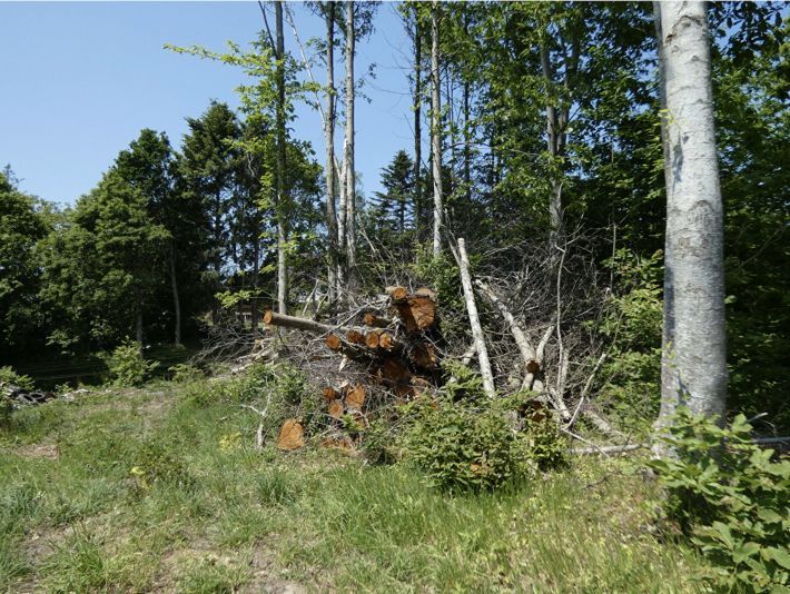 Property photo 1 of 3