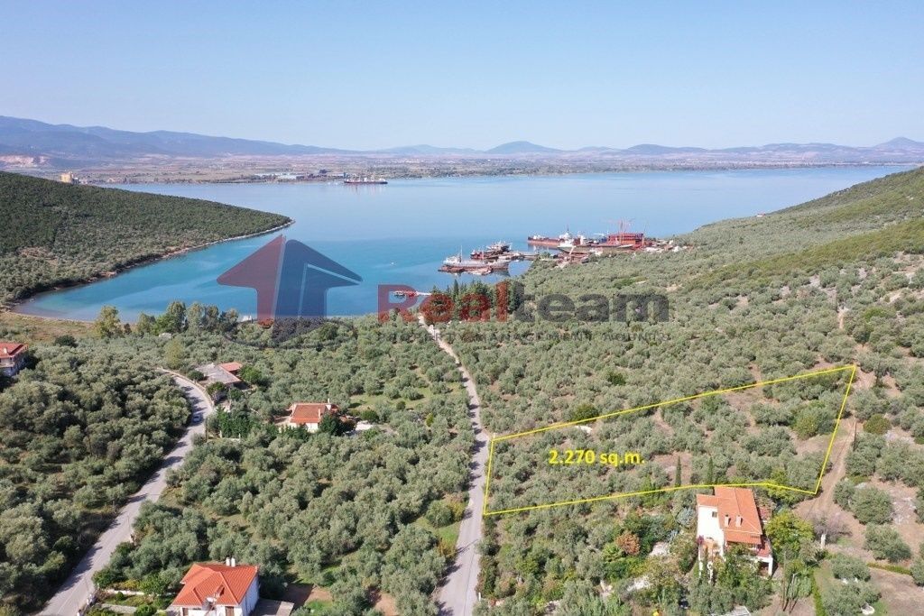 Property photo 2 of 24