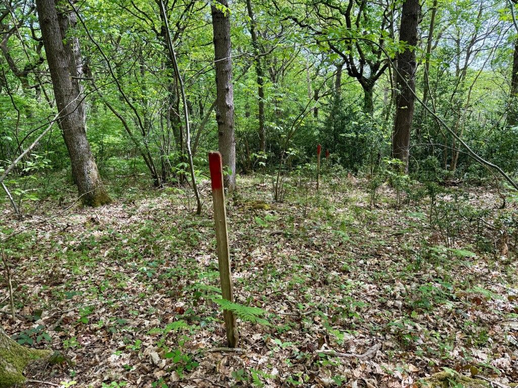 Property photo 3 of 5 Boarder Markers