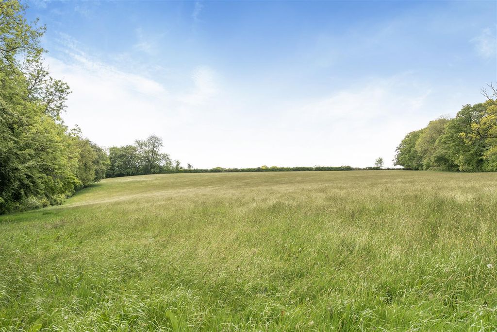 Property photo 3 of 4 1446810-16-6A078Ede8E6A8.Jpg