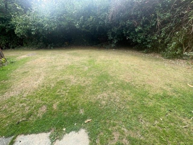 Property photo 2 of 8 Back Garden