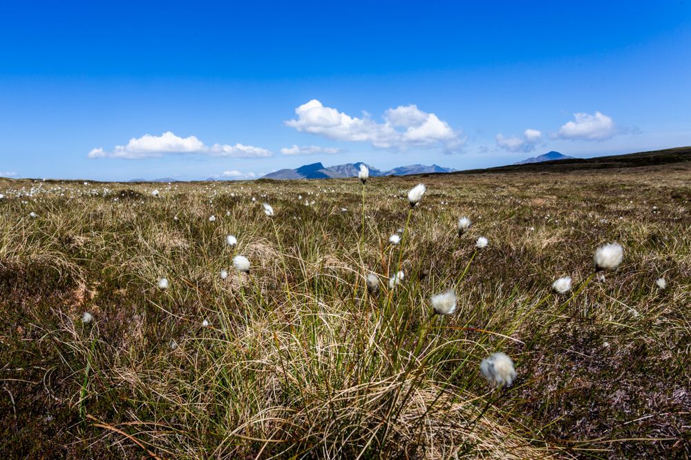 Property photo 3 of 12 Additional_Image_2