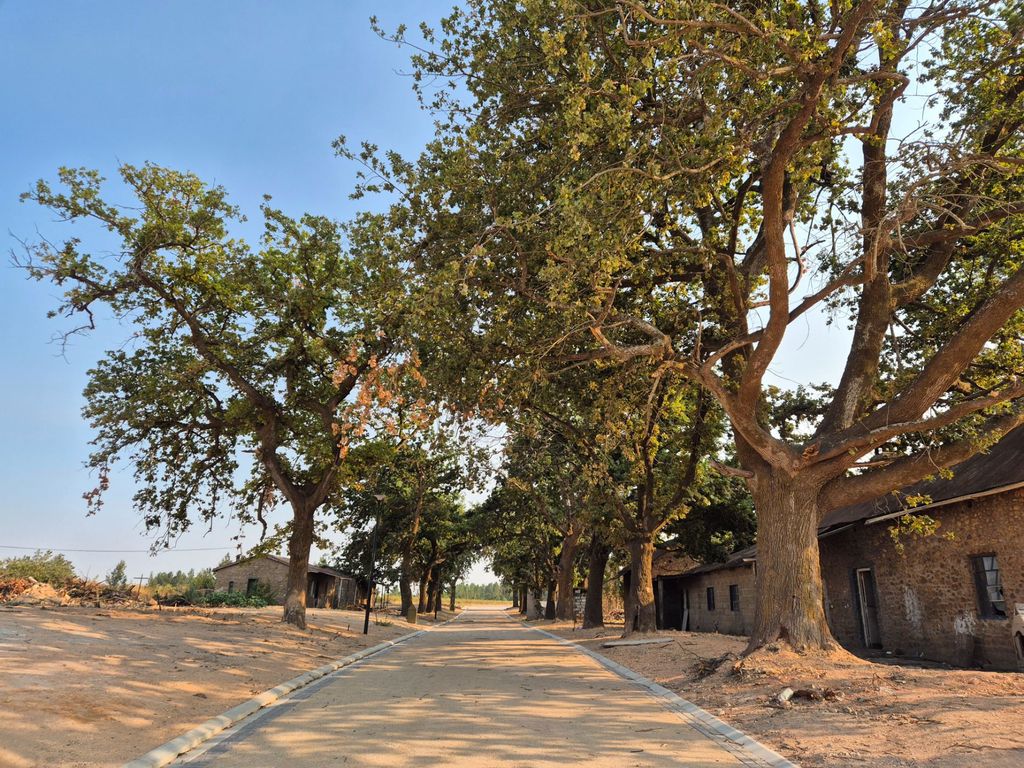 Property photo 2 of 10 Vlv1726950