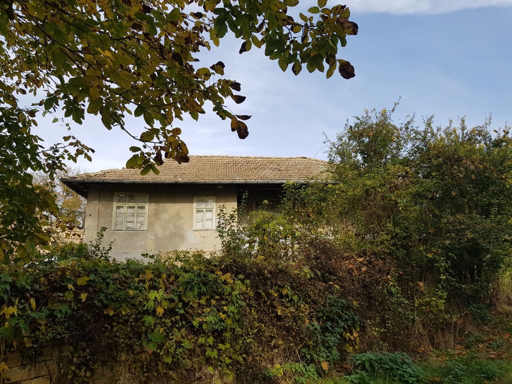Property photo 3 of 13 Side Elevation Of The House With Multiple Windows And Dense Greenery In Front