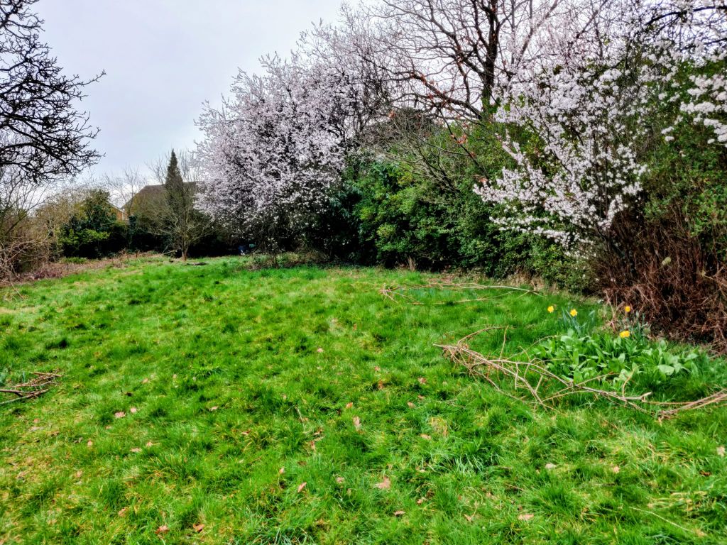 Property photo 3 of 10 Photo-2026-03-02-16-40-08 3