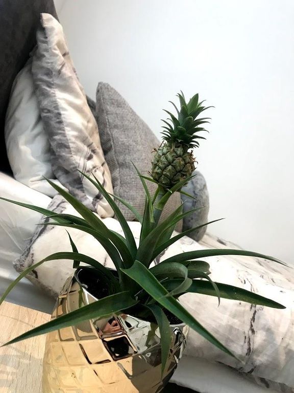 Property photo 1 of 9 Bedroom 1.Jpg