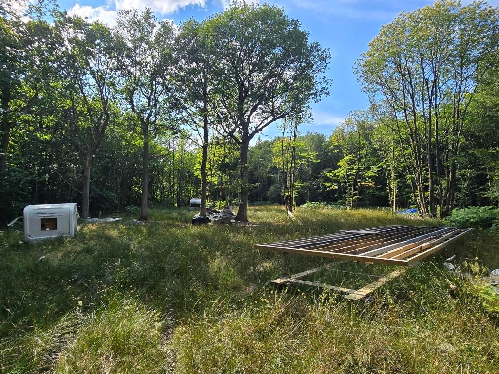 Property photo 1 of 6 Woodland With Assortment Of Belongings On Site