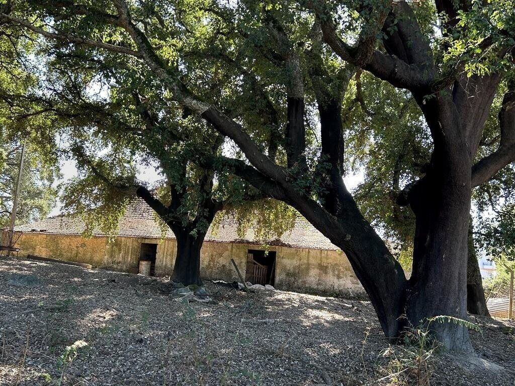 Property photo 1 of 29 4.3 Ha With Ruins And Unprecedented Development Potential. The Most Versatile Real Estate Asset