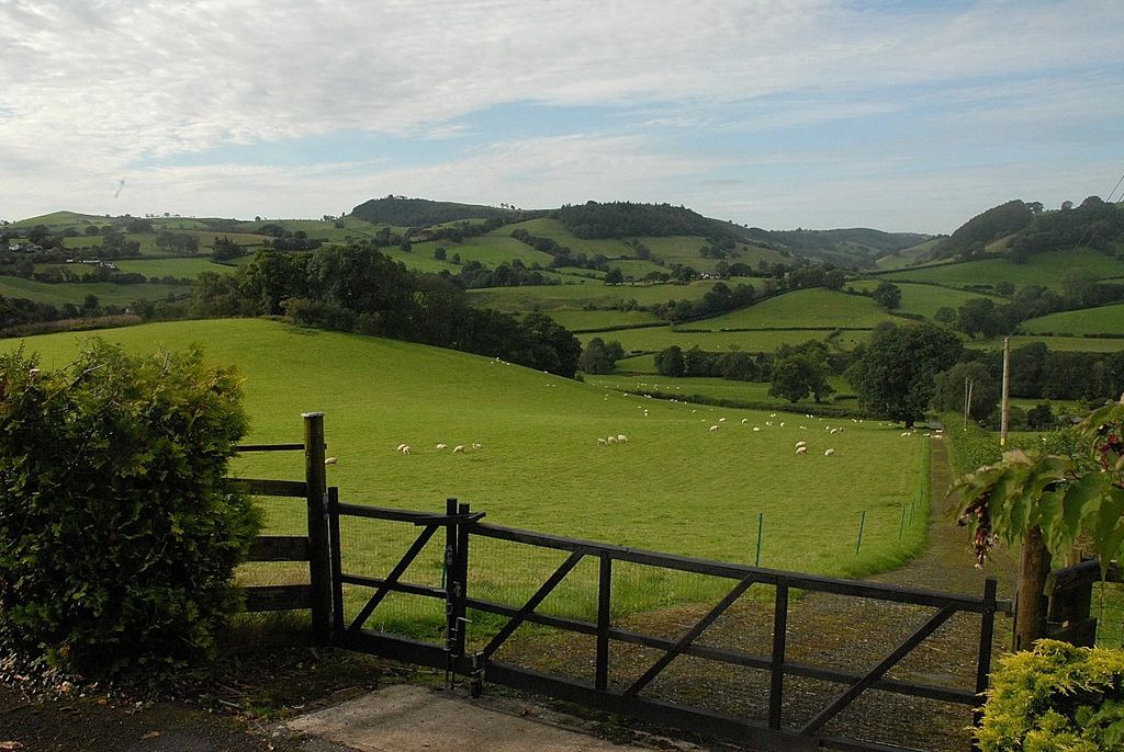 Additional image 30 of 4 bed detached house for saleLlanfyllin, Powys SY22