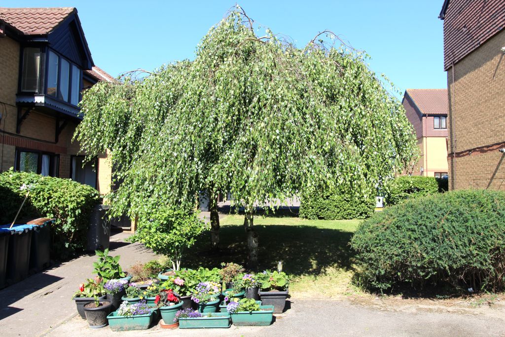 Property photo 3 of 9