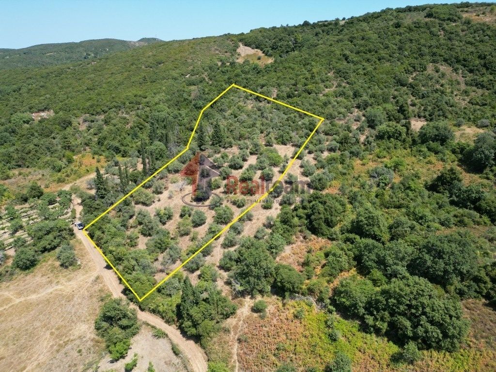 Property photo 3 of 11