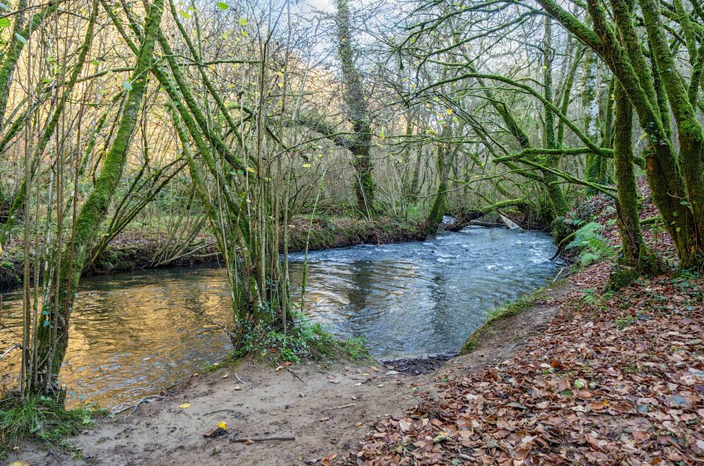 Property photo 3 of 26 Stoodleigh, Seddons