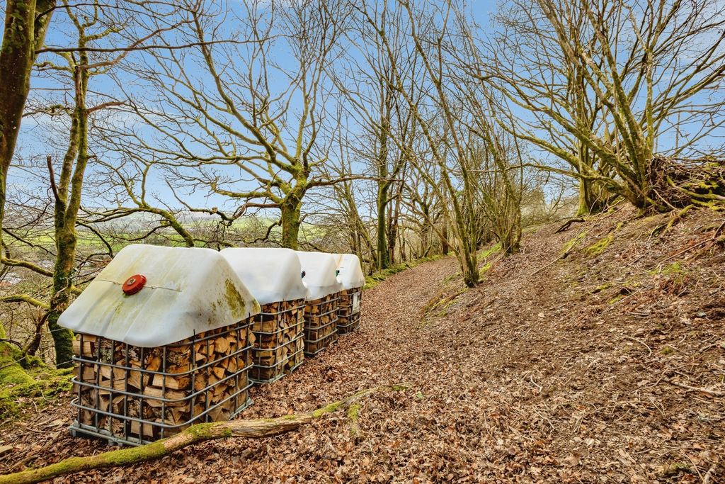 Additional image 39 of 3 bed cottage for salePencader, Carmarthenshire SA39