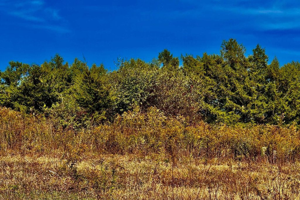 Property photo 2 of 7 <Alttext/>